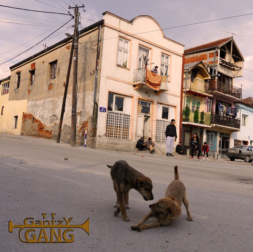 Gantzy Gang CD